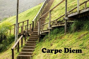 carpe-diem