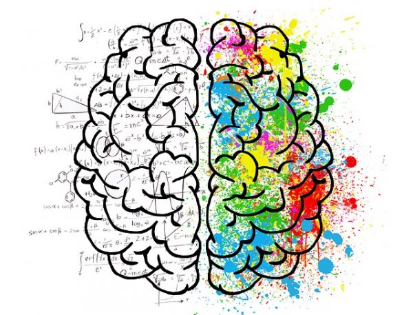 creative person brain