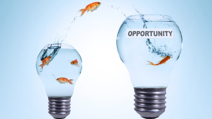 Fish jumping out of smaller fish bowl into a bigger one marked 'opportunity'