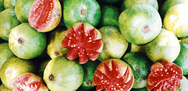 Fresh Guava Fruits