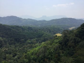 Sri Lanka Landscape